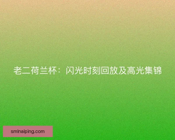 老二荷兰杯：闪光时刻回放及高光集锦